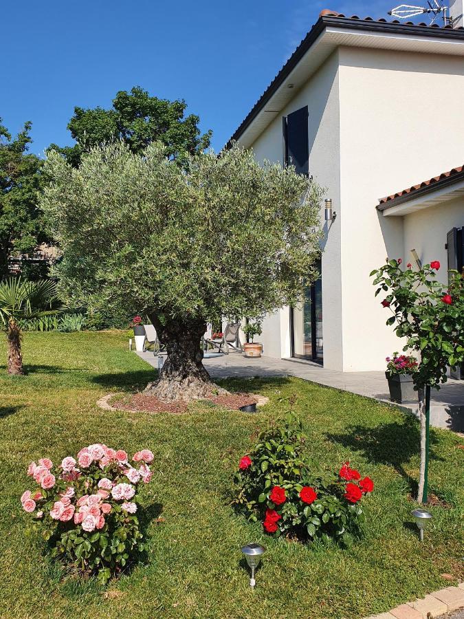 L'Olivier Apartment Mornant Екстериор снимка